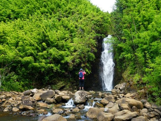  マウイ島観光ツアー 天国のハナ　リムジンバスでマウイの大自然と歴史を感じる＜1日／英語ガイド／朝・昼食付＞ 