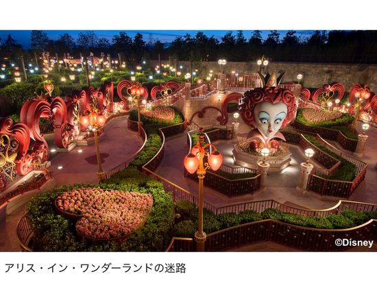 アリス・イン・ワンダーランドの迷路