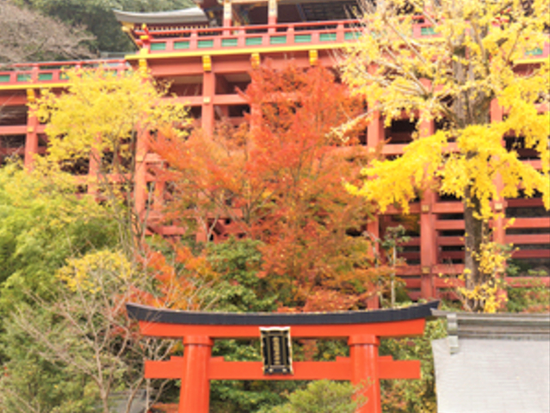 バスハイク 福岡発 紅葉の九年庵 秋の一般公開 御船山楽園 祐徳稲荷神社 和定食の昼食付 11月15日 11月23日 佐賀行 By 西鉄旅行 佐賀の観光 遊び 体験 レジャー専門予約サイト Veltra ベルトラ バスハイク 福岡発 紅葉の九年庵 秋の一般公開 御船山楽園 祐徳稲荷神社 和定食の昼食付 11月15日 11月23日 佐賀行 By 西鉄旅行 佐賀の観光 遊び 体験 レジャー専門予約サイト Veltra ベルトラ