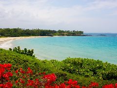 2018-09-19_Hapuna Beach_shutterstock