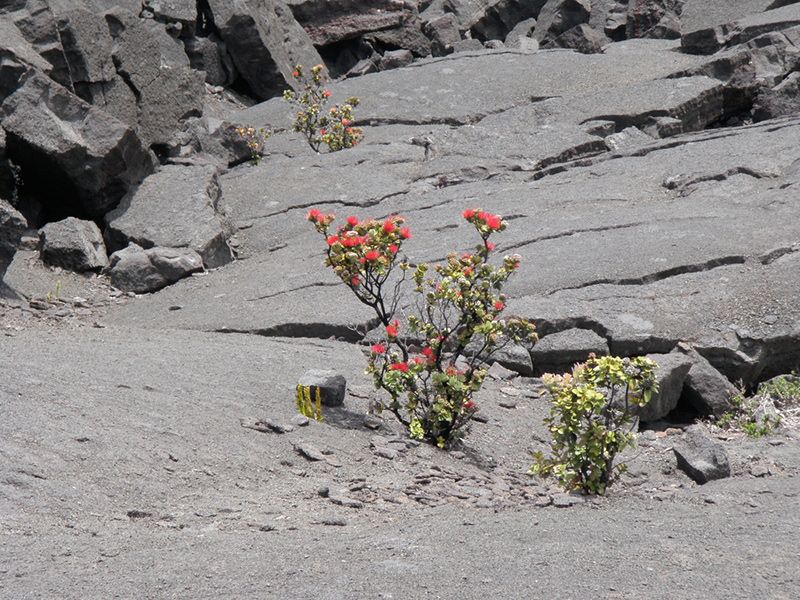 helicopter tour from oahu to big island volcano