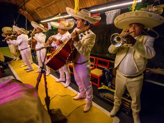 ナイトクルーズツアー カンクン版夜のソチミルコを体験！＜3コースディナー付／テキーラ、ビール飲み放題付／カンクン発＞