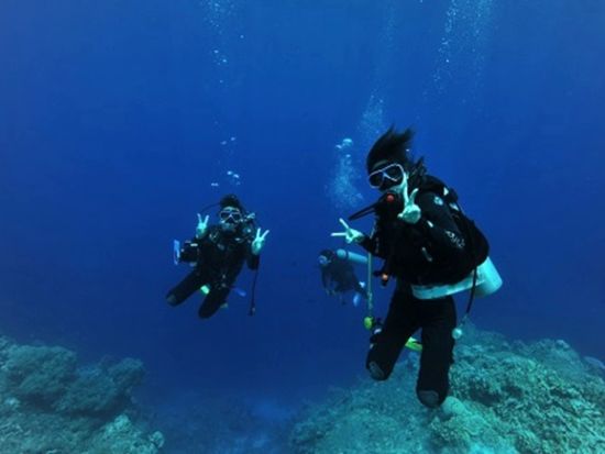 ファンダイビング モアルボアル全域 イワシ玉ポイント・ペスカドール島など＜ボート／2～4ダイブ＞by エメラルドグリーン モアルボアル支店