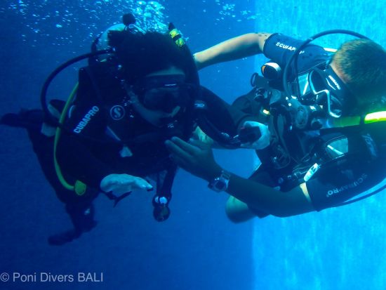PADI オープンウォーター／アドバンス ダイビングライセンス取得コース＜eラーニング＋2～3日間＞by ポニ・ダイバーズ・バリ