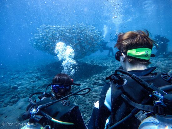 体験ダイビング＋シュノーケリング 年中マンタに会えるヌサ・ペニダ、沈船のトランベンなど＜ビーチ or ボート／1ダイブ＞by ポニ・ダイバーズ・バリ