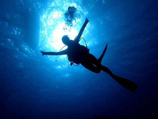 体験ダイビング 4名以上で貸切可能！＜ビーチ／1～2ダイブ＞by アクアゲート・サイパン