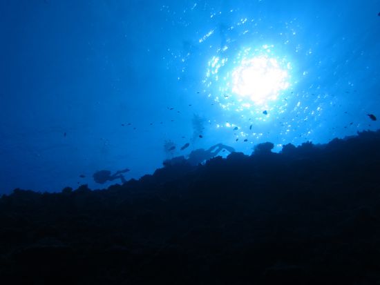 ファンダイビング グロットやラウラウにご案内！＜ビーチ／1～2ダイブ＞by アクアゲート・サイパン