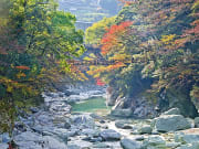 Japan_Tokushima_Iya valley_shutterstock_783321295
