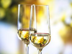 Reims champagne tasting (1)