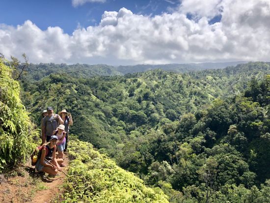 オアフ島　ハイキングツアー　山の中にある自然のプールを目指してトレッキング！中級者～上級者向け＜英語ガイド／ランチ付き＞