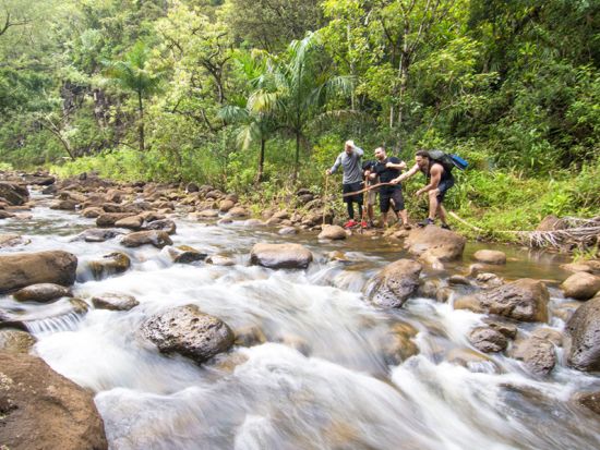 オアフ島　ハイキングツアー　山の中にある自然のプールを目指してトレッキング！中級者～上級者向け＜英語ガイド／ランチ付き＞