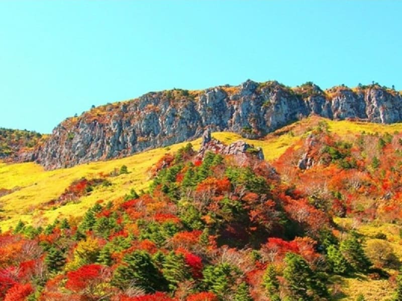 済州島観光ツアー 3大世界遺産巡り 漢拏山 ハルラサン 城山日出峰 万丈窟 拒文オルム 黒豚焼きランチ 1日 日本語ガイド ホテル送迎付 貸切プラン有 済州島 チェジュ の観光 オプショナルツアー専門 Veltra ベルトラ