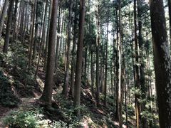 IMG_1796
