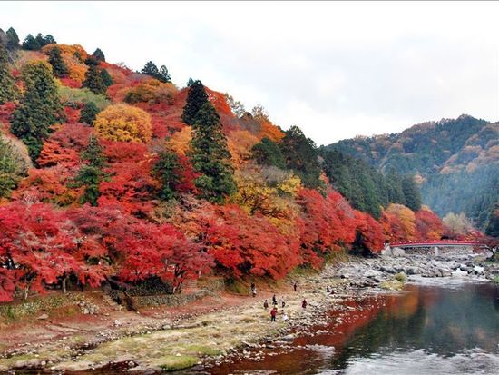 2cc6965cf15eab1cfccbc021fb21564075469bf0