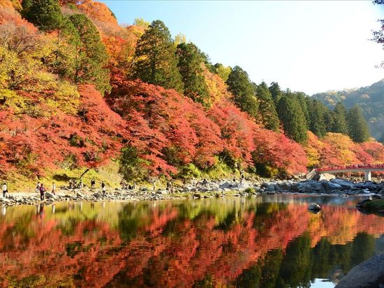 9c579d7313c0386331ba92b88a9af62d8a2fb49a