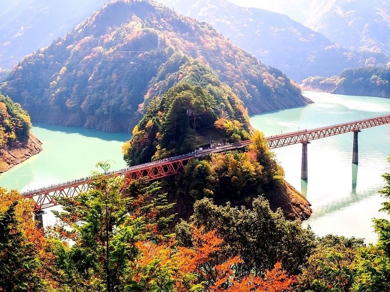 26165fdf67a83f3849d3b362fc41387a79d41558