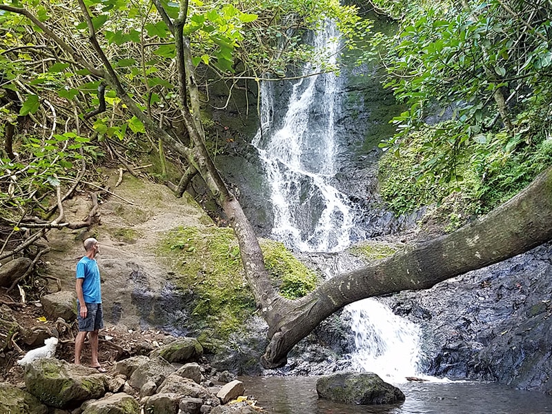 waterfall hike honolulu