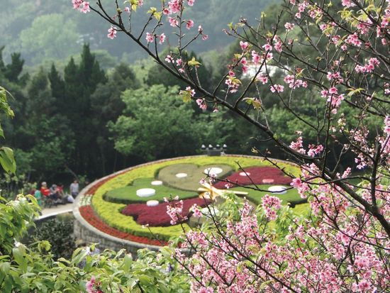 Yangmingshan National Park Afternoon Tour With Public Hot Spring Bath Experience Tours Activities Fun Things To Do In Taipei Taiwan Veltra Yangmingshan National Park Afternoon Tour With Public Hot Spring Bath Experience Tours Activities Fun Things To Do In Taipei Taiwan Veltra