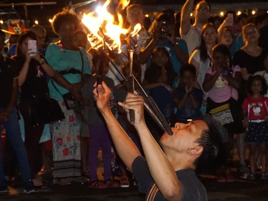 【チェンマイ発】チェンマイ観光の決定版！エレファントキャンプ＋ドイステープ寺院＋市内寺院＋郷土料理ディナー＜貸切／1日／ホテル送迎／日本語ガイド／昼食・夕食付＞