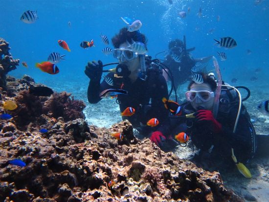 慶良間体験ダイビング　専属インストラクターのサポートで安心　水中写真プレゼント！　シュノーケリングも同時に楽しめる別プランもあり ＜1日／2～3ダイブ／北谷発＞