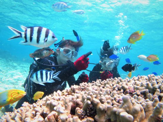 北谷発慶良間ファンダイビング 初心者や1名様大歓迎！圧倒的透明度の"ケラマブルー"を海中散歩＜2～5ダイブ／北谷エリア送迎無料＞by オーシャンビーチちゃたん