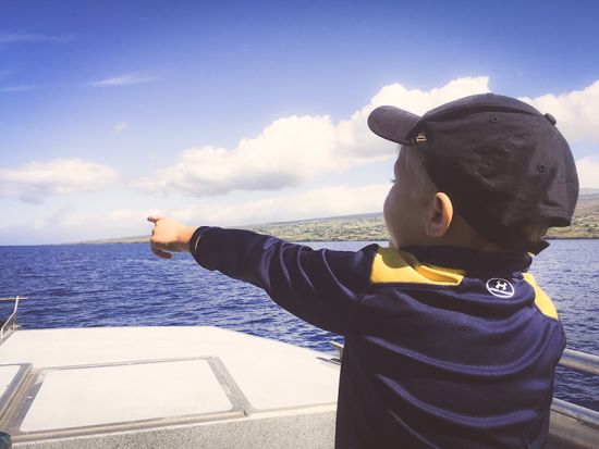 ホエールウォッチ　遭遇率の高い西オアフで鑑賞！アウラニやコオリナリゾートから車で20分　ソフトドリンク飲み放題付き＜西オアフ発／12/1～3/31＞