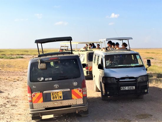 【ナイロビ発着 2泊3日】アンボセリ国立公園サファリツアー ゲームドライブ4回＜英語or日本語／混載or貸切／市内発着＞