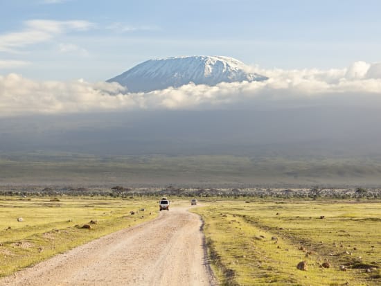 ケニアの絶景を満喫！キリマンジャロ山 & アンボセリ国立公園3日間＜2泊3日／食事付／ナイロビ発＞