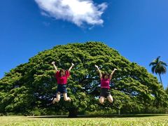 IMG_0393 (1)
