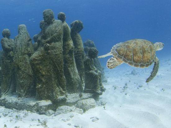 MUSA水中美術館(海底美術館)シュノーケルツアー　3か所のシュノーケリングスポットで水中探検＜午前・午後／英語ガイド／往復送迎／カンクン発＞