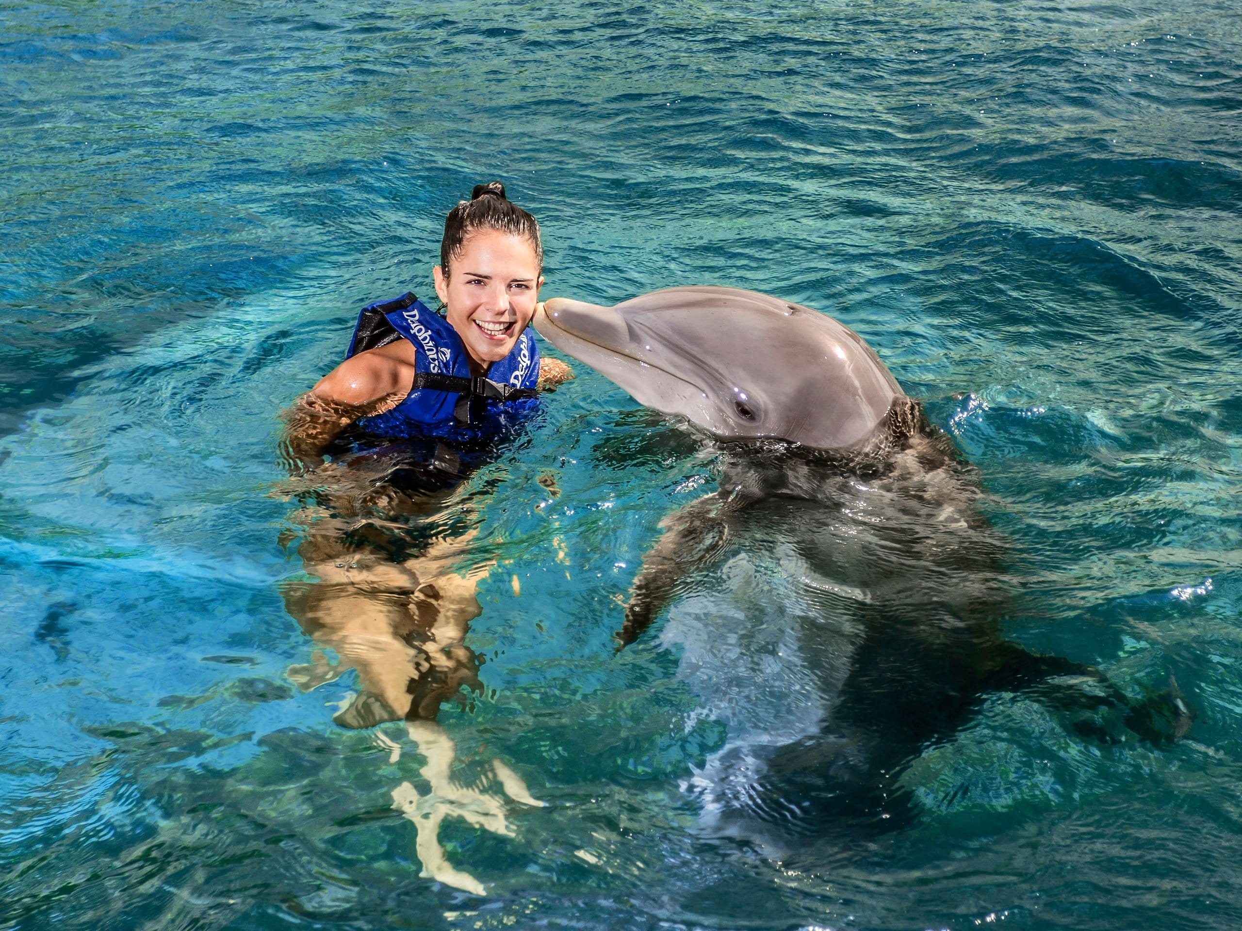 Isla Mujeres Dolphin Swim Experience with Downtown Tour and Turtle Farm ...