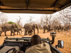 Botsuwana_Chobe National Park_shutterstock_502520005