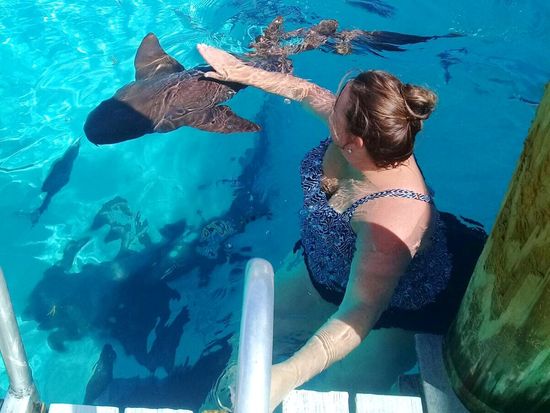 ボートで行く エグズーマ諸島 日帰りツアー 豚さん イグアナビーチ サメと一緒に泳げるコンパス キー 英語ドライバー 昼食 往復送迎付き ナッソー発 バハマ 中南米 カリブ海 の観光 オプショナルツアー専門 Veltra ベルトラ