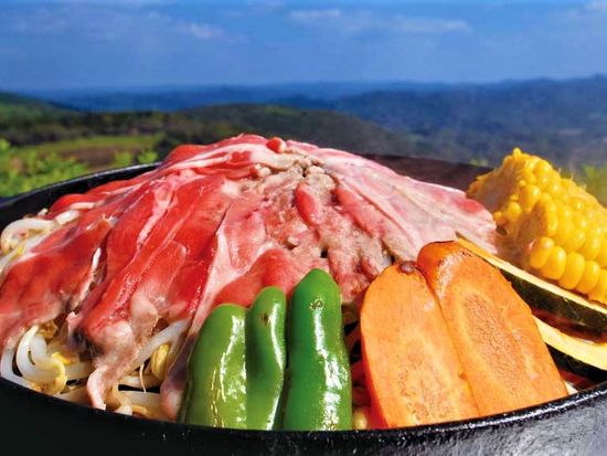 東京発日帰りバスツアー 東京ドイツ村 マザー牧場 Wイルミネーション鑑賞 極上ジンギスカン 11 2月 夕食バイキング付 浜松町駅発 By はとバス 東京の観光 遊び 体験 レジャー専門予約サイト Veltra ベルトラ