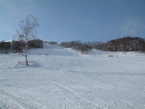 【スキーバス】新千歳空港⇔ルスツリゾート・ニセコスキーリゾートエリア場　送迎バス＜2024年12月1日～2025年3月31日＞by北海道リゾートライナー