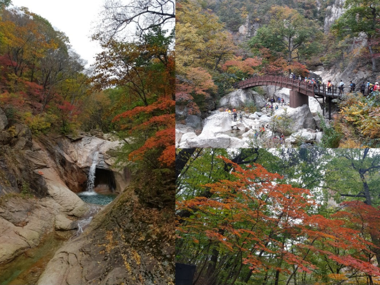 ソウル発・近郊ツアー　初夏の雪岳山＋江原＋洛山寺＋アバイ村　観光ツアー＜1日／ホテル送迎付／日本語ガイド／昼食付＞