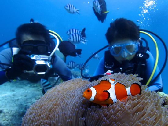 【ベストプライス】青の洞窟 体験ダイビング　透明度抜群の早朝7時30分便もあり！当日15時まで受付＜ボート／ガイド貸切／ショップ設備利用可／恩納村発＞