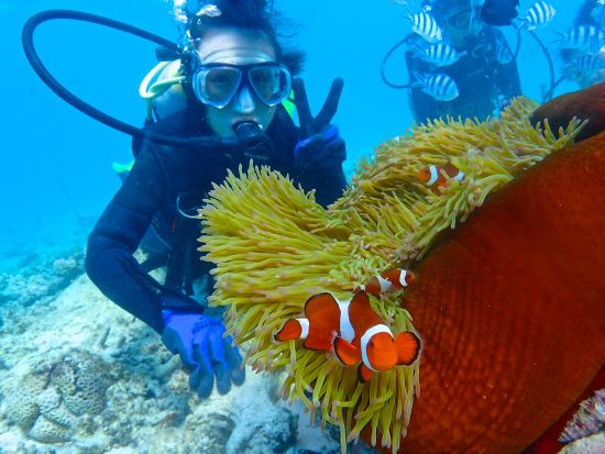 【ベストプライス】青の洞窟 体験ダイビング　透明度抜群の早朝7時30分便もあり！当日15時まで受付＜ボート／ガイド貸切／ショップ設備利用可／恩納村発＞