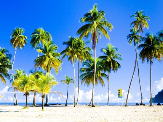 地元っ子御用達！マラカス・ベイ・ビーチ 送迎ツアー＜往復ホテル送迎／トリニダード発＞by H.I.S.