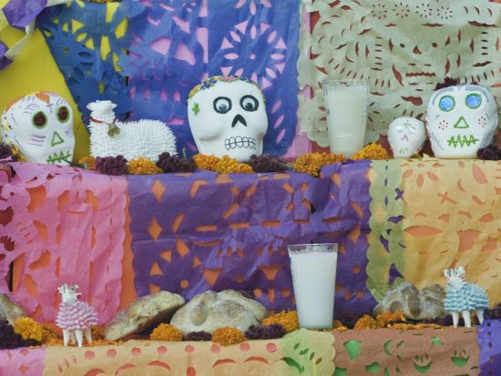 世界遺産グアナファト AEROMEXICOで行く日帰り自由行動ツアー＜混載／1日／航空券付／スペイン語ドライバー現地送迎／メキシコシティ発＞