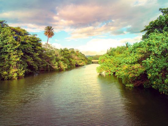 SUP（スタンドアップパドル）体験　ノースショア（ハレイワ）の川と海でウミガメウォッチング　サンセットタイムも選べる byシー＆ボードスポーツハワイ