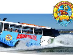 aquaduck01