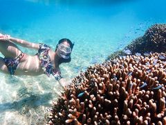 Snorkeling at Ishigaki Island, Okinawa
