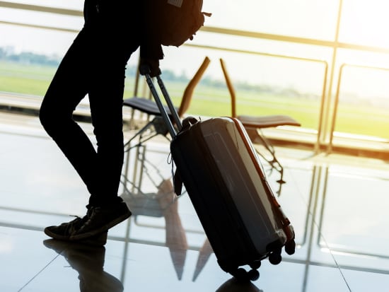 Airport_Terminal_Traveler_Luggage_Suitcase