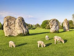 UK_London_Avebury_shutterstock_443355883