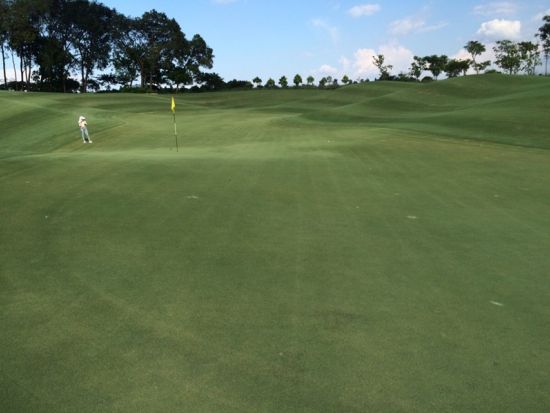 ハーモニーゴルフパーク　ゴルフ場予約＜日本語ガイド／送迎あり＞