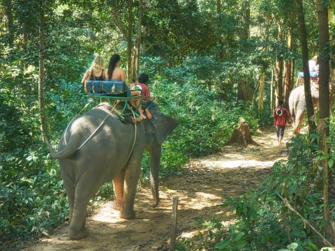 象乗り 象乗り 動物 バンコクの観光 オプショナルツアー専門 Veltra ベルトラ