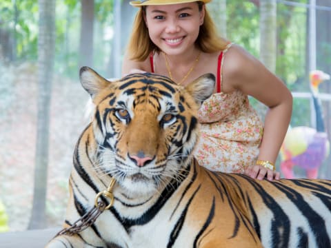 トラと触れ合う 象乗り 動物 タイの観光 オプショナルツアー専門 Veltra ベルトラ