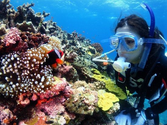 東京発 ダイビング・スキューバダイビング | 東京 旅行の観光