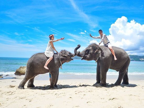 25600907_170907_0025.jpg のコピー-crop